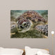 Green sea turtle Wall Mural