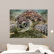 Green sea turtle Wall Mural