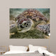 Green sea turtle Wall Mural