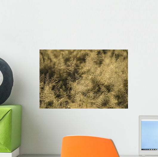 Grass with Dew It Wall Decal