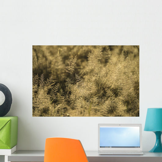 Grass with Dew It Wall Decal