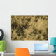 Grass with Dew It Wall Decal