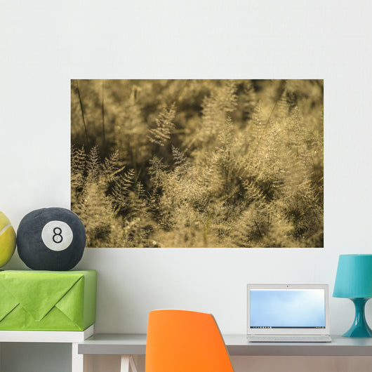 Grass with Dew It Wall Decal