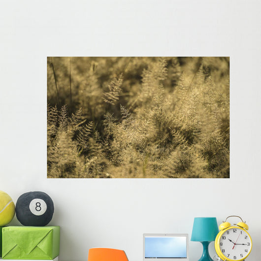 Grass with Dew It Wall Decal