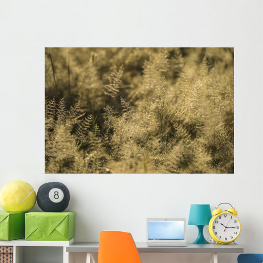 Grass with Dew It Wall Decal