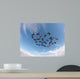 Skydiving people low angle view Wall Mural
