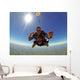 Skydiving Tandem Friends against Wall Mural