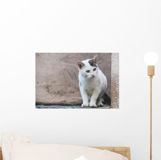 White Cat Stands Ledge Wall Decal