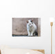 White Cat Stands Ledge Wall Decal