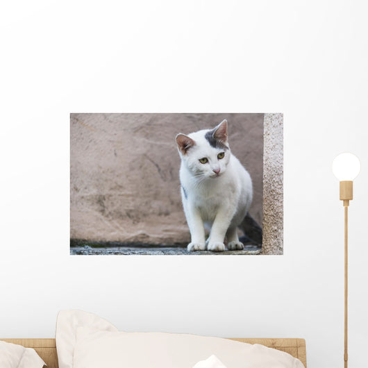 White Cat Stands Ledge Wall Decal