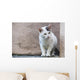 White Cat Stands Ledge Wall Decal