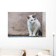 White Cat Stands Ledge Wall Decal