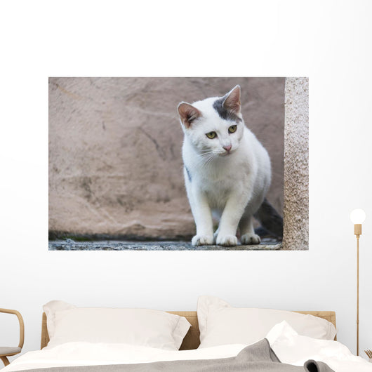 White Cat Stands Ledge Wall Decal