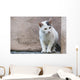 White Cat Stands Ledge Wall Decal