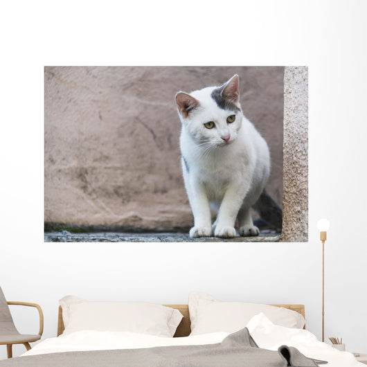 White Cat Stands Ledge Wall Decal