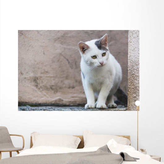 White Cat Stands Ledge Wall Decal