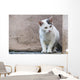 White Cat Stands Ledge Wall Decal