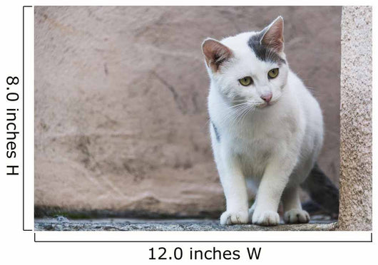 White Cat Stands Ledge Wall Decal