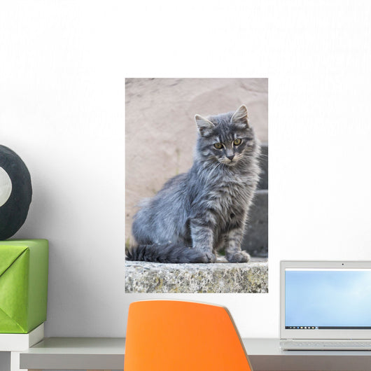 Portrait Grey Cat Stands Wall Decal