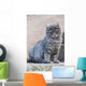 Portrait Grey Cat Stands Wall Decal