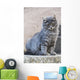 Portrait Grey Cat Stands Wall Decal