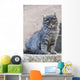 Portrait Grey Cat Stands Wall Decal