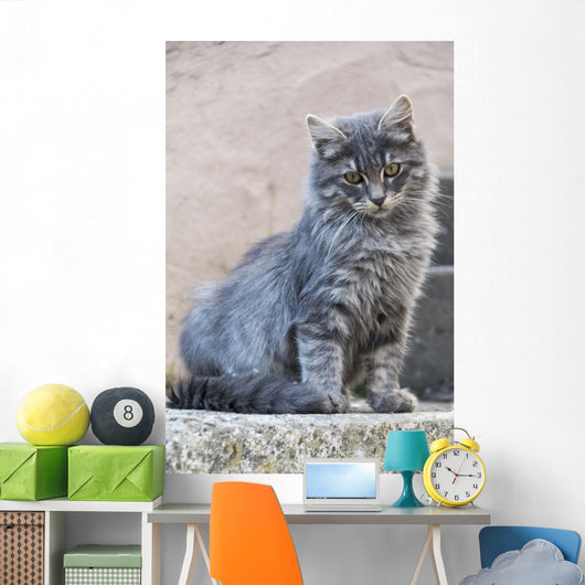 Portrait Grey Cat Stands Wall Decal