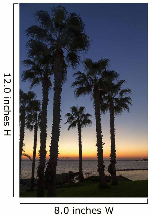 Silhouette Palm Trees Wall Decal