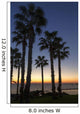 Silhouette Palm Trees Wall Decal