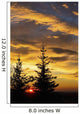 Silhouette of two evergreen trees, sunrise Wall Mural