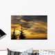 Silhouette of two evergreen trees, sunrise Wall Mural