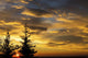 Silhouette of two evergreen trees, sunrise Wall Mural