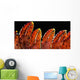 Up Lobster Claws against Wall Decal