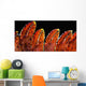 Up Lobster Claws against Wall Decal