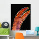 Up Lobster Claw against Wall Decal