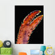 Up Lobster Claw against Wall Decal