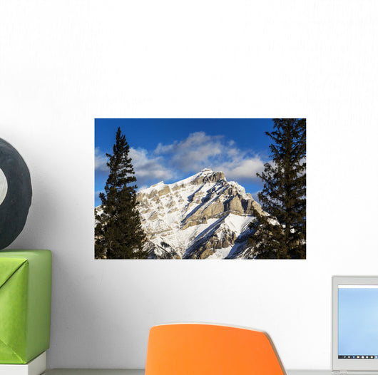 Snow covered mountain, evergreen trees Wall Mural
