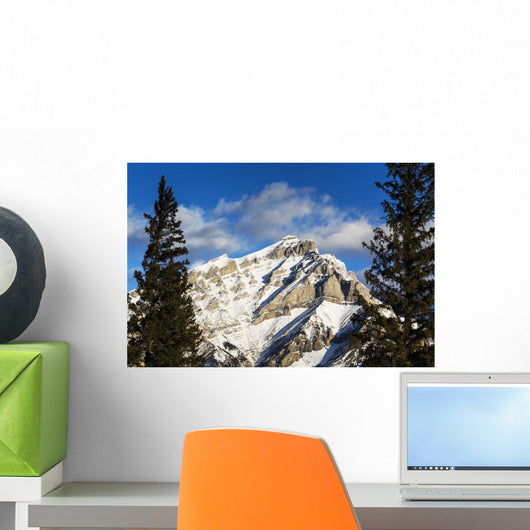 Snow covered mountain, evergreen trees Wall Mural
