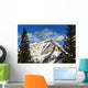 Snow covered mountain, evergreen trees Wall Mural