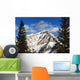 Snow covered mountain, evergreen trees Wall Mural