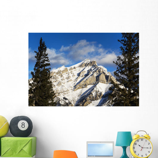 Snow covered mountain, evergreen trees Wall Mural