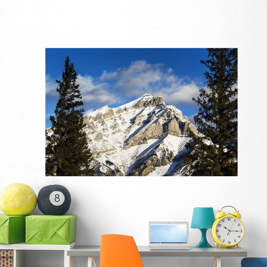 Snow covered mountain, evergreen trees Wall Mural