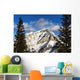 Snow covered mountain, evergreen trees Wall Mural
