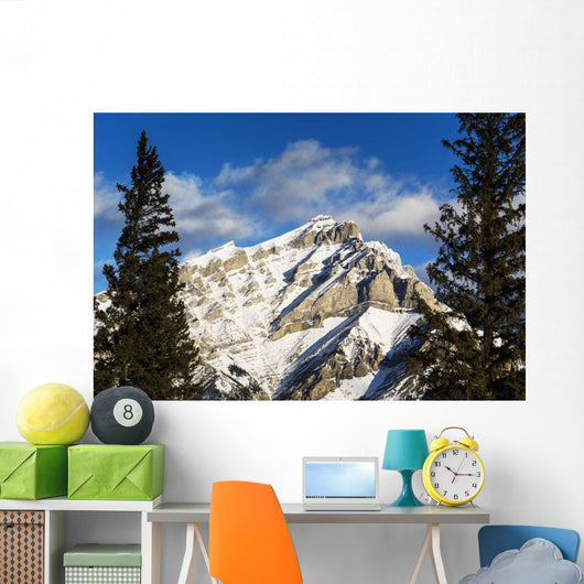 Snow covered mountain, evergreen trees Wall Mural