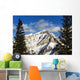 Snow covered mountain, evergreen trees Wall Mural