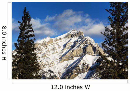 Snow covered mountain, evergreen trees Wall Mural