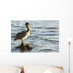 Pelican Perched Rock Water Wall Decal