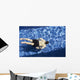 Male Swimming under Water Wall Decal