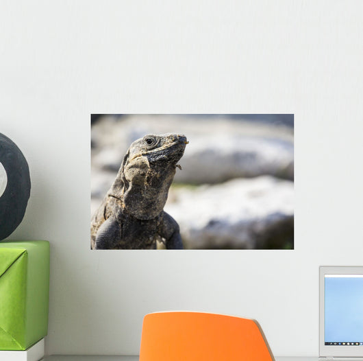 Up Lizard Wall Decal