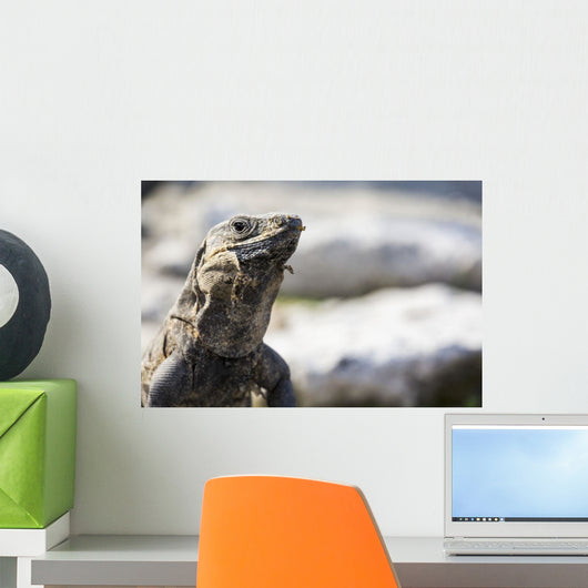 Up Lizard Wall Decal